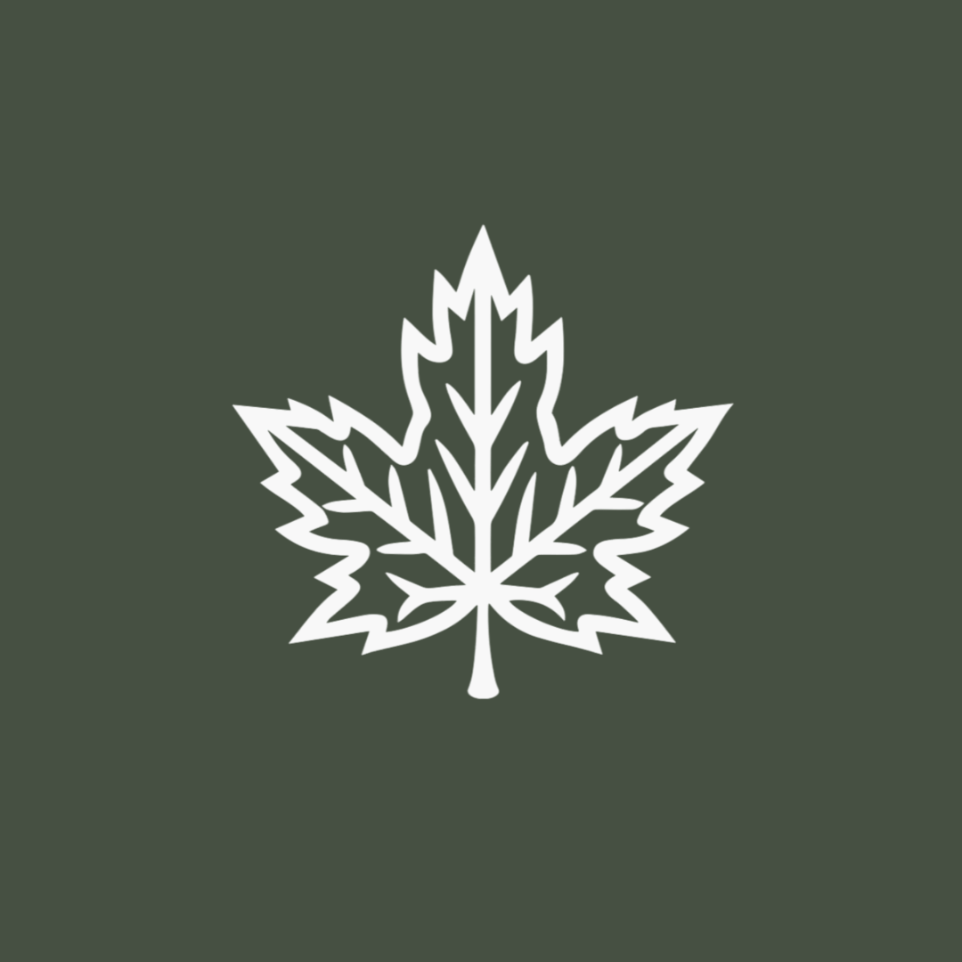 Minimalist Maple Leaf T-Shirt