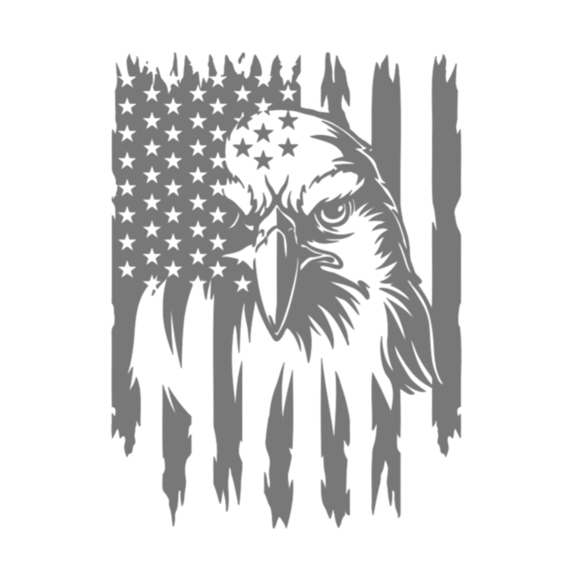 American flag with an eagle's head in the center on a white background