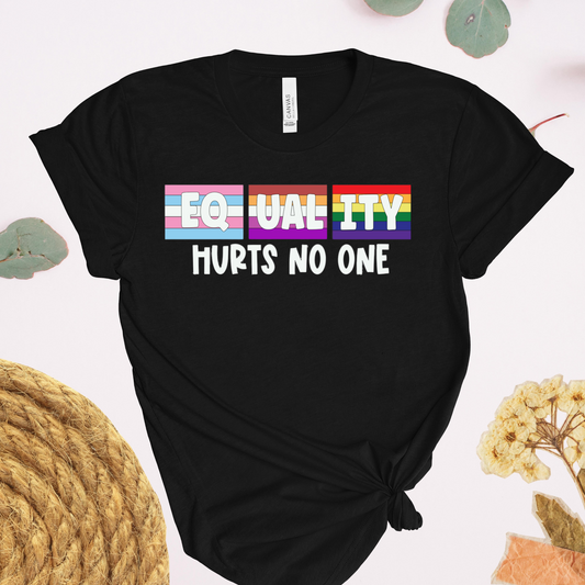Equality Hurts No One LGBTQ+ Pride T-Shirt