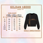 Happy New Year Gold Stars and Fireworks Sweatshirt
